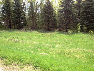 40507 Pine View Dr, Sauk Centre, MN 56378 - photo 2