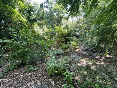 51 Commonwealth Ave, Sagamore, MA 02561 - photo 7