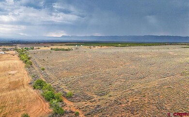 TBD 1 N 20 Rd, Cortez, CO 81321 - photo 5