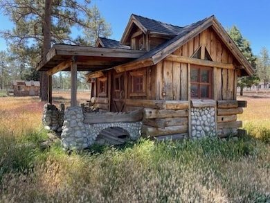 59777 California 74, Mountain Center, CA - photo 3