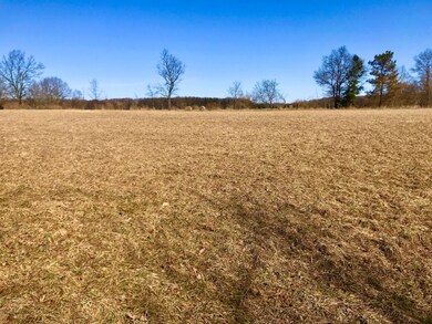 10 North Field Oakhill rd