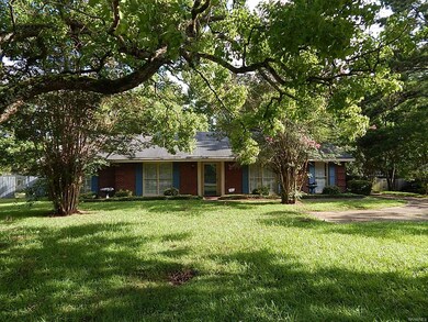 BEAUTIFUL TREES-SO MUCH SHADE
