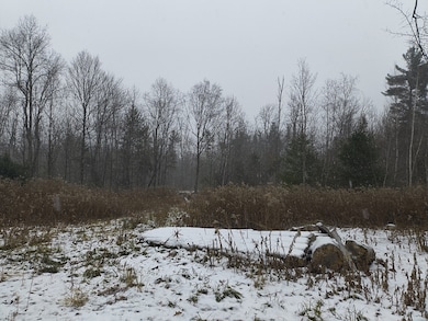 90 Williamsburg Rd, Worthington, MA 01098 - photo 5