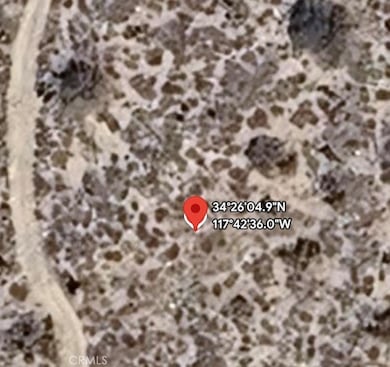 14 233rd, Llano, CA 93544 - photo 3