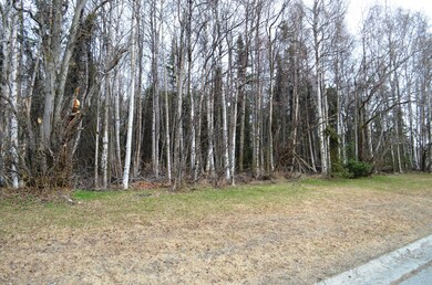Lot View