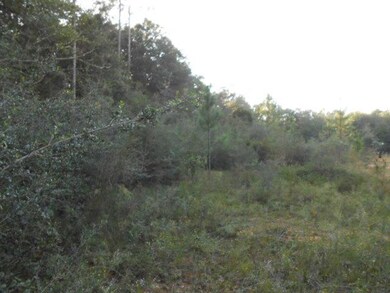 Clearing 1
