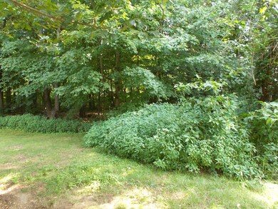 46 Chapel St, Northampton, MA 01060 - photo 7