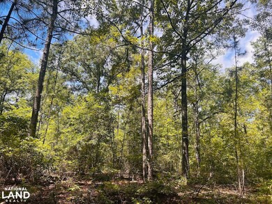 0 Moores Chapel Rd unit 25800784, Mauk, GA 31058 - photo 4