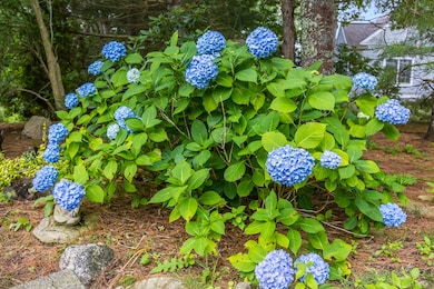 8P0A8161
