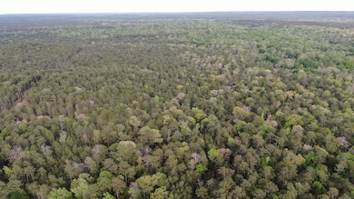 0 County Road 2845, Colmesneil, TX 75938 - photo 2