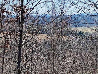 Lots 6,7,8 River Bend Ridge, Calico Rock, AR 72519 - photo 5