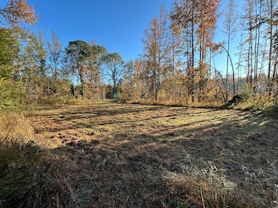 5 Establisbed Food Plot