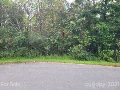 3.5 Hidden River Ln, Statesville, NC 28625 - photo 4