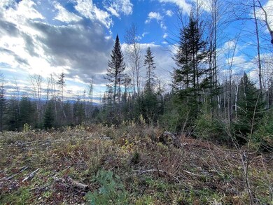 - Paquin, Colebrook, NH 03576 - photo 5