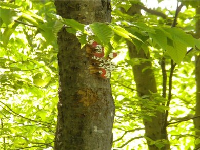 169 Beaver Dam Rd, New Gloucester, ME 04260 - photo 4