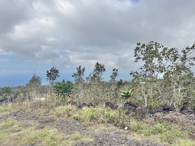 There's a few foxtail agave, beautifully blooming Ohia trees, and native A'ali'i.