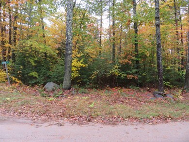 00 Savoy, Moultonborough, NH 03254 - photo 2