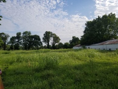 Peach Orchard hog barn 2