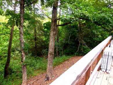 View from Deck