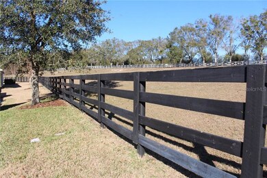 30422 Lipizzan Terrace, Mount Dora, FL 32757 - photo 4