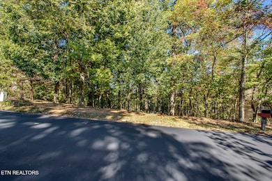 131 Kenosha Ln, Loudon, TN 37774 - photo 2