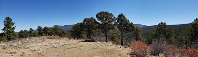 20190407_114230