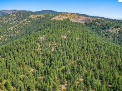 NNA Usfs 2550 (40 Acres), Blanchard, ID 83804 - photo 6