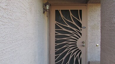 Custom Screen Door