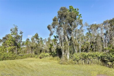 509 Ames St E, Lehigh Acres, FL 33974 - photo 6