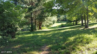 9225 Dunkard Church Rd, Rixeyville, VA 22737 - photo 7