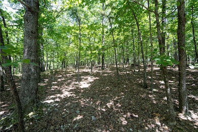 1103 Brown Bear Trail, Flint Creek, OK 74347 - photo 5
