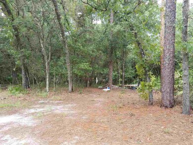 5561 County Road 208, Saint Augustine, FL 32092 - photo 3