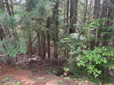 IMG_5551.