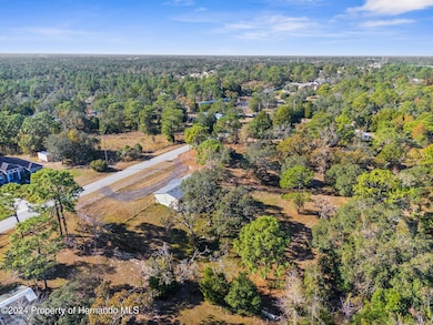 7-web-or-mls-DJI_20241203101506_0483_D