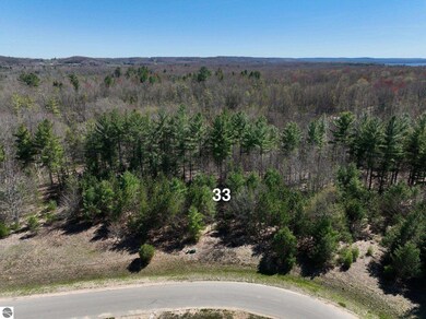 6379 Jeffrey Place unit Lot 33, Grawn, MI 49637 - photo 4
