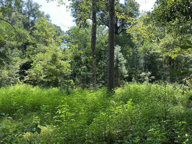 129 Richardson Rd, Crawfordville, FL 32327 - photo 4