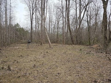 0 Hutcheson Rd unit 7537190, Temple, GA 30179 - photo 5