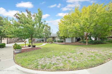 003_Front Yard