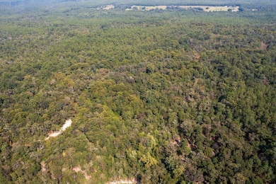 05-DJI_0018