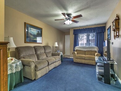 HARDWOOD FLOORS UNDER CARPET