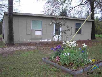 10006 County Road 21, Tyler, TX 75707 - photo 6