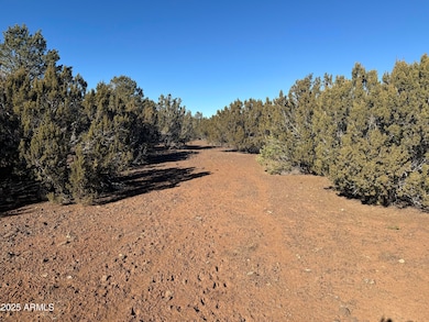 #5 Skyline Ranch -- unit 5, Vernon, AZ 85940 - photo 6