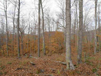 0 Happy Hollow Rd unit 4618716, Huntington, VT 05462 - photo 3