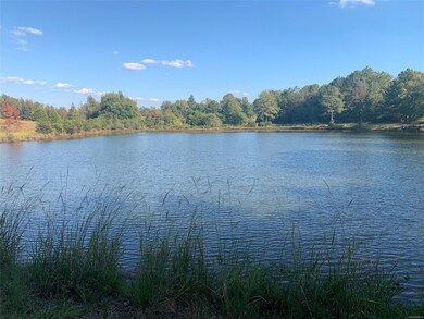 Stocked pond! Bass! Bluegill!