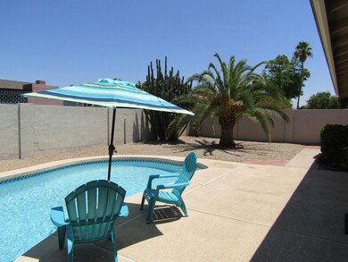 Desert Landscape in backyard