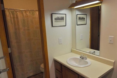 8 Fall Line Dr unit N201, Newry, ME 04261 - photo 7