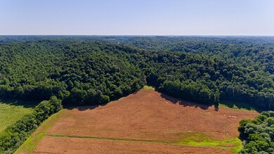 0 Tackets Br Rd unit RTC2400343, Goodspring, TN 38460 - photo 4