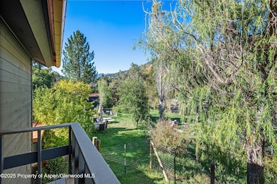 235 S Bill Creek Rd, Carbondale, CO 81623 - photo 5