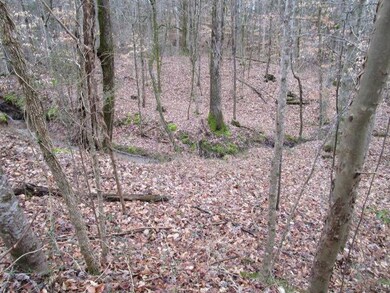 0 Corbin Lake Rd unit 1118174, Rutledge, TN 37861 - photo 5