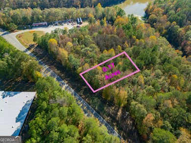 100 Tallapoosa Rd, Tallapoosa, GA 30176 - photo 6